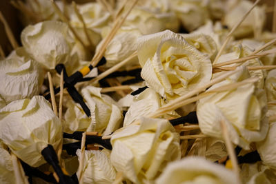 Full frame shot of white flower