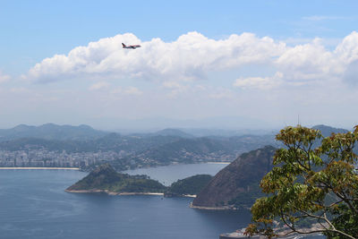 Bird flying over sea against sky