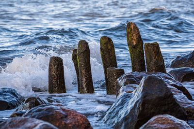 Panoramic view of wooden posts on beach