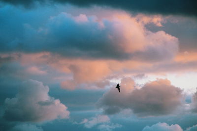 Low angle view of silhouette bird flying against cloudy sky during sunset