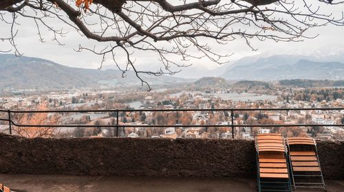 Scenic view of tree and mountains against sky