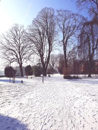 Bare trees on snow covered field against sky