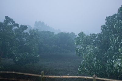 Scenic view of landscape against clear sky
