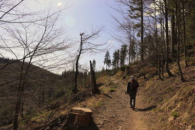 Rear view of man standing by bare trees in forest