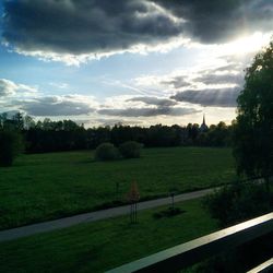 Trees on grassy field against cloudy sky