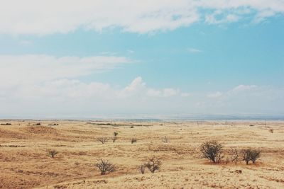 Scenic view of beach