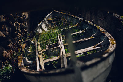 High angle view of plants