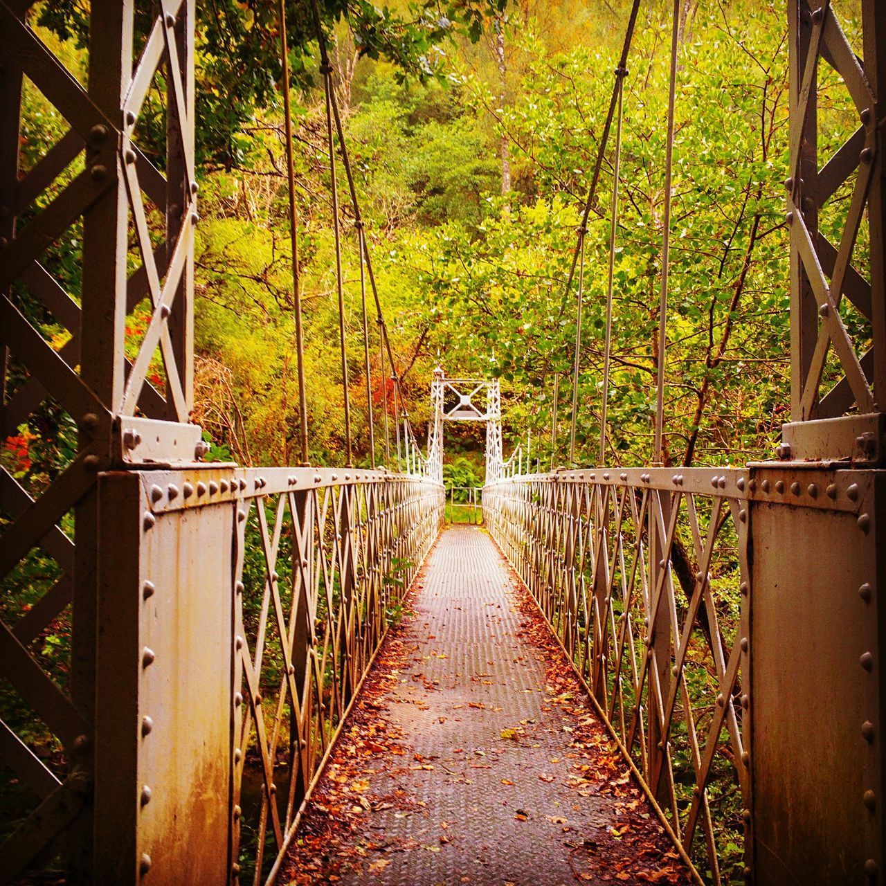 Raffaela J. Rauschenberger