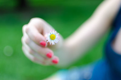 Close-up of flower against blurred background