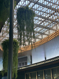 Low angle view of building seen through glass window