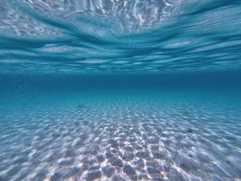 Close-up of swimming in sea