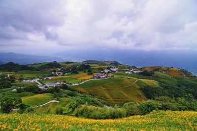 Scenic view of agricultural field against sky