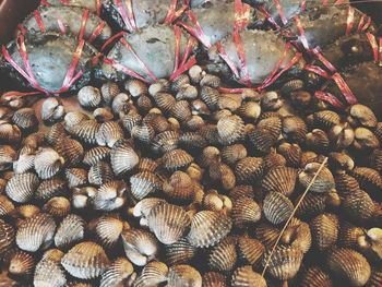Full frame shot of seafood for sale at market
