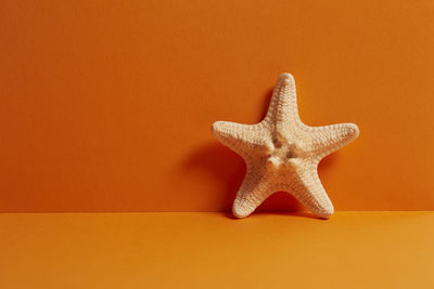 Close-up of lizard on orange wall
