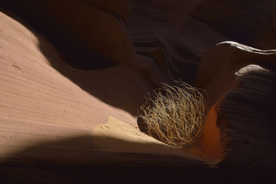 Close-up of rock formation in desert