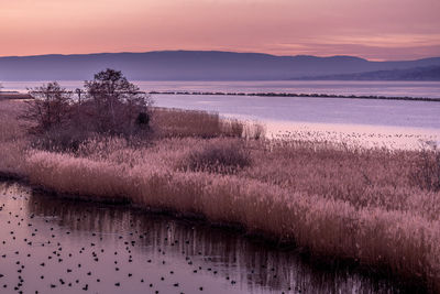 Scenic view of lake against sky during sunset