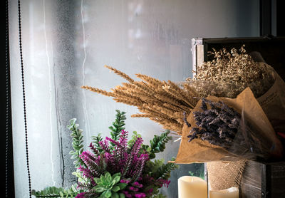 Close-up of potted plant on table at home