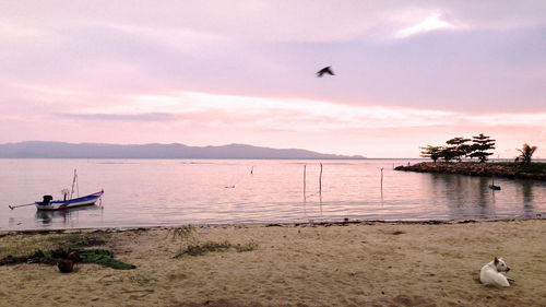 Scenic view of sea against sky during sunset