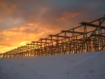 Cranes on snow covered land against sky during sunset