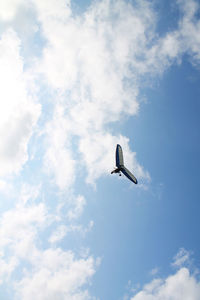 Low angle view of bird flying in sky