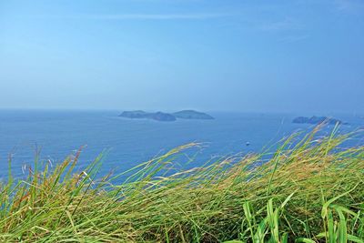 Scenic view of sea against clear blue sky