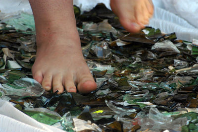 Close-up of hand holding fish