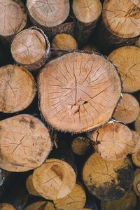 Full frame shot of the cut tree logs