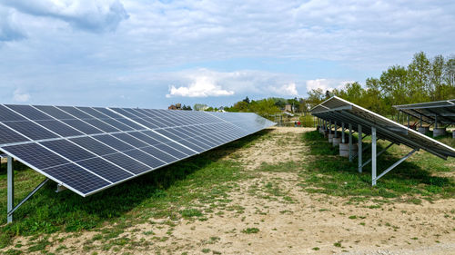 Low angle view of plants against the sky