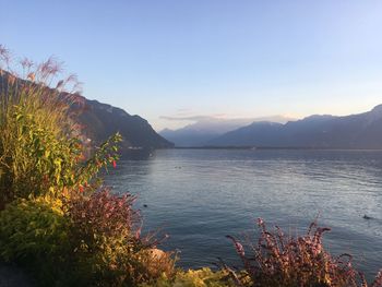 Scenic view of lake against clear sky