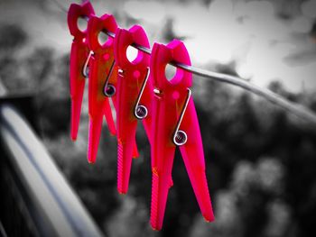 Close-up of red hanging outdoors