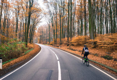 Rear view of man riding bicycle on road in forest