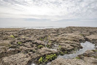 Coastal scene at swami's beach. encinitas, ca, usa.