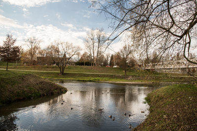 View of birds in lake