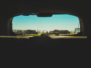 Trees seen through car windshield