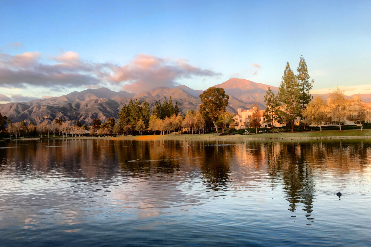 mountain, lake, water, mountain range, reflection, animal themes, bird, tranquil scene, scenics, waterfront, tranquility, beauty in nature, sky, nature, animals in the wild, wildlife, tree, idyllic, rippled, outdoors