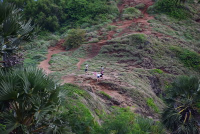 High angle view of family hiking on mountain