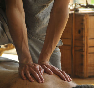 Midsection of therapist massaging man at spa