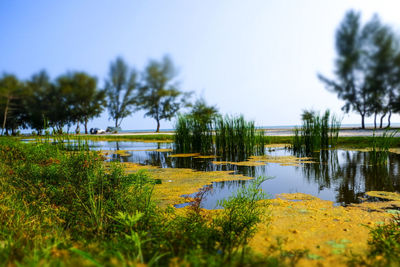 Scenic view of lake against sky