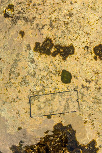 Full frame shot of yellow leaf over water