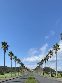 Road by palm trees against sky