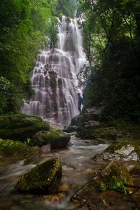 Scenic view of waterfall in forest