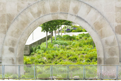 Trees seen through arch bridge