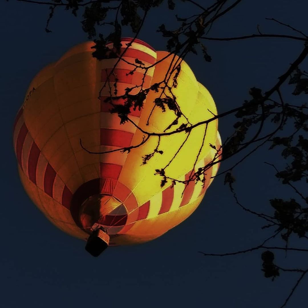 sky, nature, low angle view, tree, plant, balloon, hot air balloon, lantern, mid-air, outdoors, no people, dusk, adventure, flying, air vehicle, yellow, night, celebration, paper lantern, ballooning festival, chinese lantern