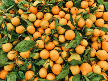 Full frame shot of fruits for sale at market stall