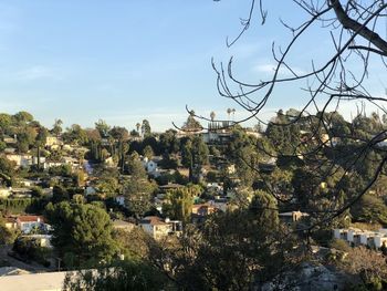 Trees and buildings against sky