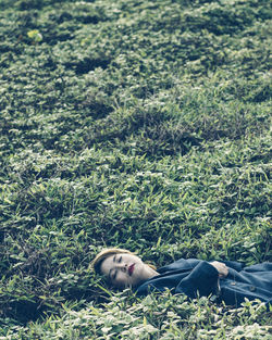 Beautiful woman sleeping on plants in park