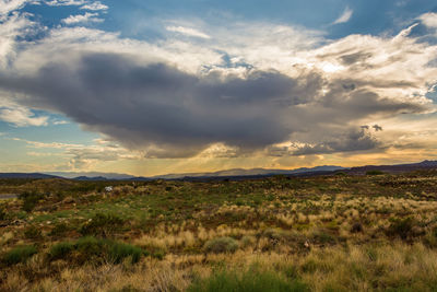 Scenic view of field against sky during sunset