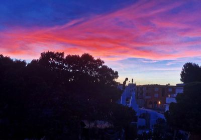 Silhouette trees and townscape against sky at sunset