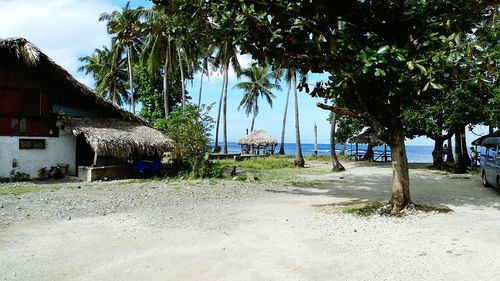 Trees and houses on beach against sky