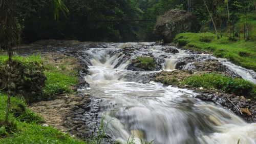 Scenic view of waterfall in forest